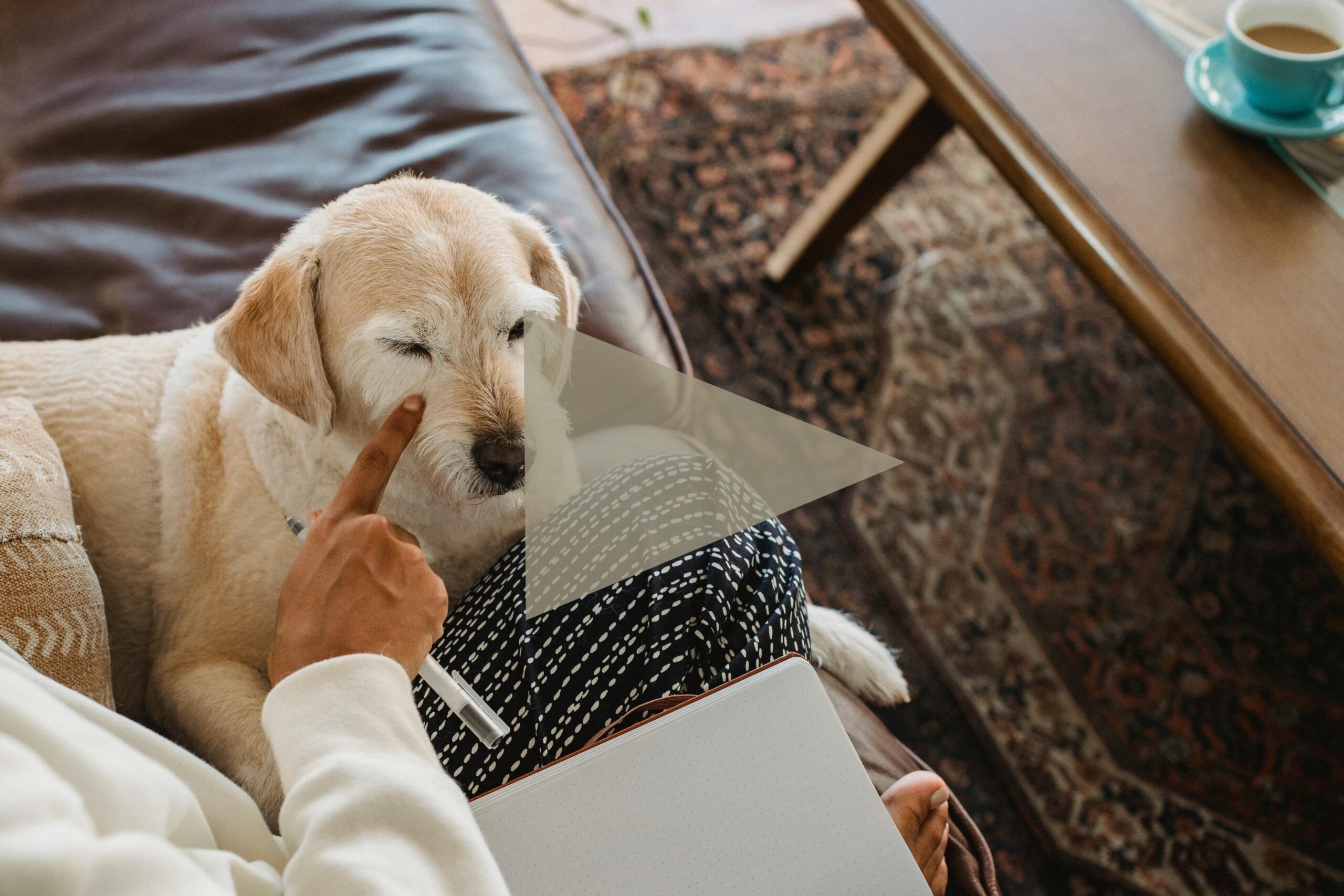 Dog and owner on couch with open notebook